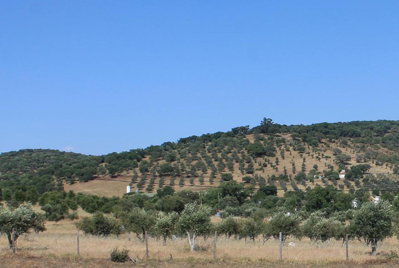 Girassol Alojamento Local Montemor-o-Novo Εξωτερικό φωτογραφία